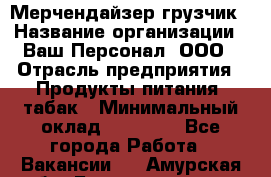 Мерчендайзер-грузчик › Название организации ­ Ваш Персонал, ООО › Отрасль предприятия ­ Продукты питания, табак › Минимальный оклад ­ 39 000 - Все города Работа » Вакансии   . Амурская обл.,Благовещенск г.